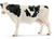 - Holstein Cow 13797**shelf Wear**