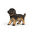 Schleich - German Shepherd Puppy 14925