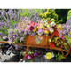 Ravensburger 500pc - Summer Bouquet Puzzle