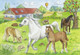 Ravensburger 2x24pc - A The Stables Puzzle