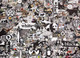 Cobble Hill Puzzles 1000pc - Black + White Animals