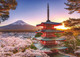 Ravensburger 1000pc - Mount Fuji Cherry Blossom Puzzle