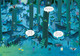 Usborne - Look and Find Puzzles In the Forest