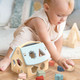 Speedy Monkey - House Shape Sorter with 8 blocks