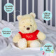 Winnie the Pooh Plush Toy 30cm