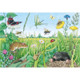 Ravensburger 2x12pc - Animals in the Forest & Meadow Puzzle