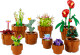 LEGO® Botanical Collection - Tiny Plants 10329