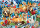Ravensburger 1000pc - Wild Canada Puzzle
