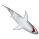 Rex London - Shark Bath Time Water Squirter**Damaged**