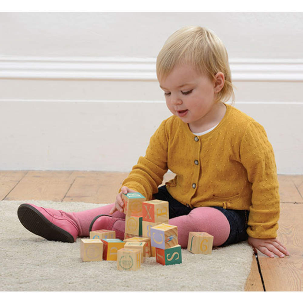Peter Rabbit Wooden Learning Blocks