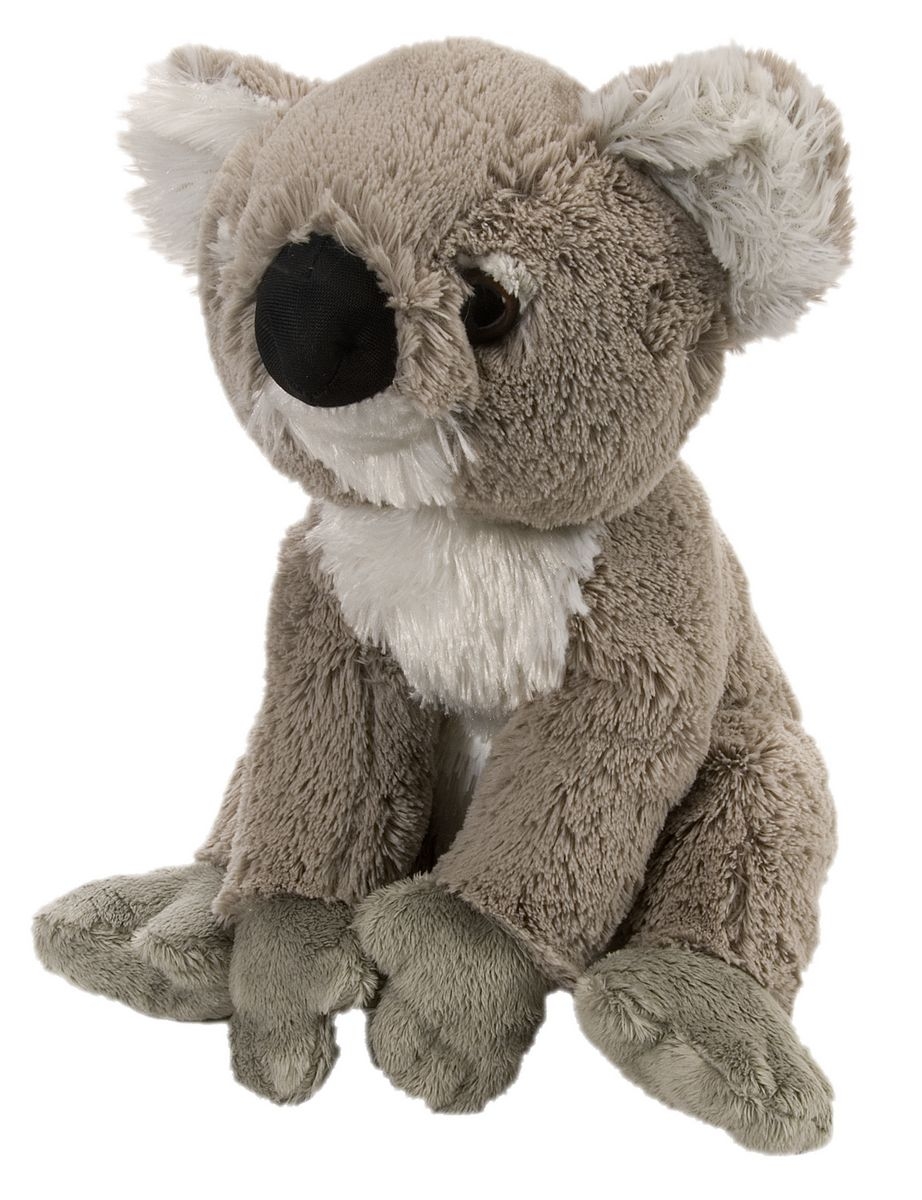 wild republic koala