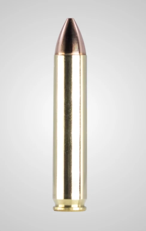 Rifle Ammo