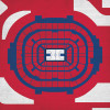 Arizona Wildcats - McKale Center City Print