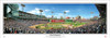 "A Day to Remember" Red Sox Ring Ceremony Panoramic Framed Poster