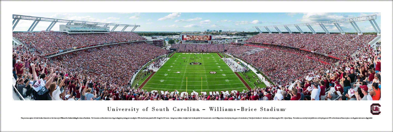 Williams Brice Stadium Seating Chart 3d