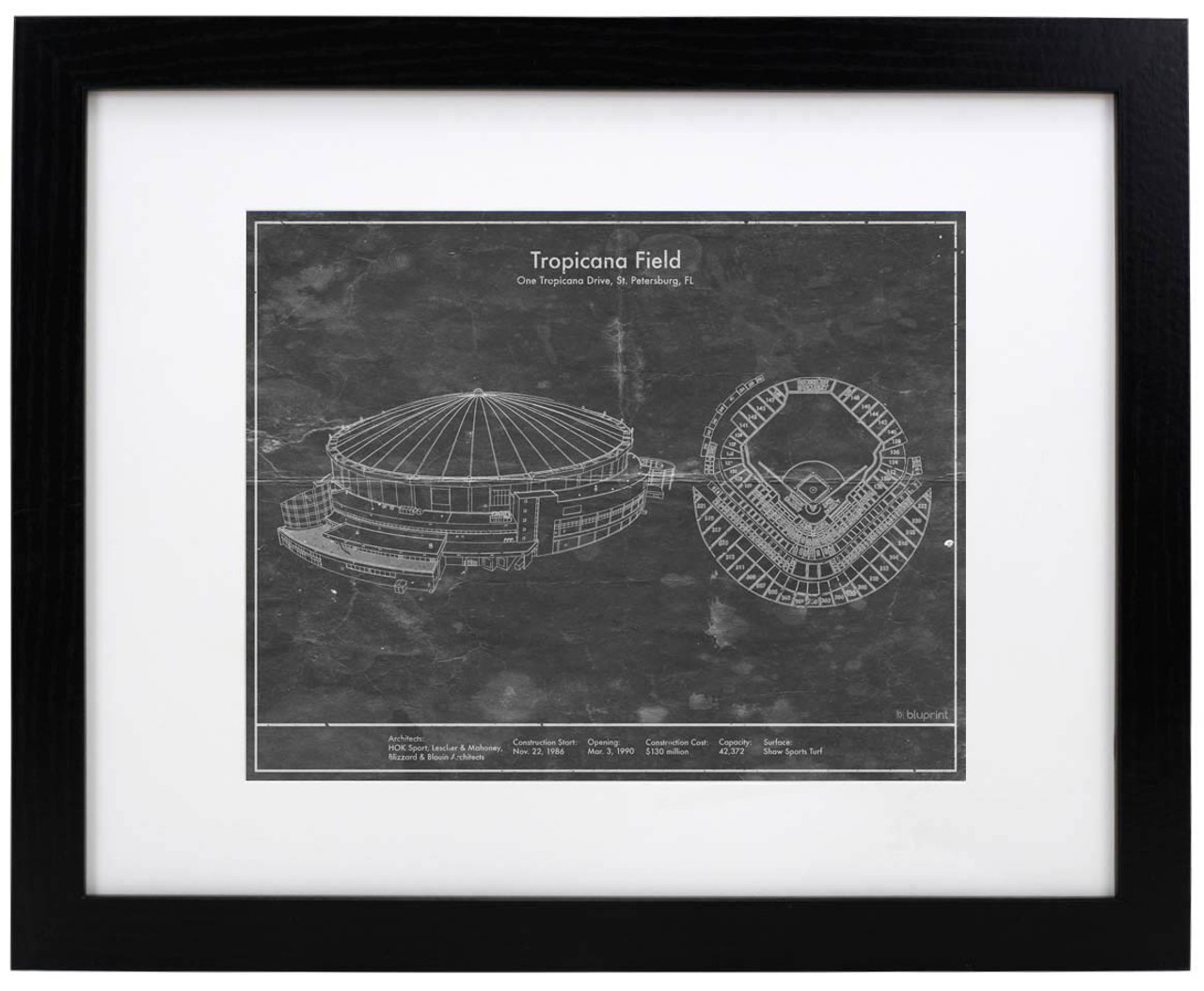 Tropicana Field - Tampa Bay Rays Art Print - the Stadium Shoppe