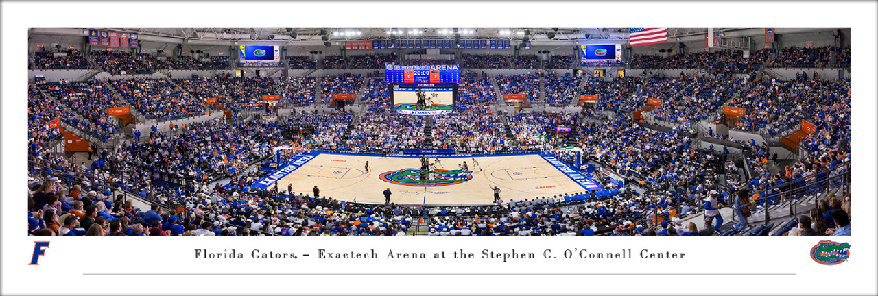Florida Gators Basketball at Exactech Arena Panoramic Poster
