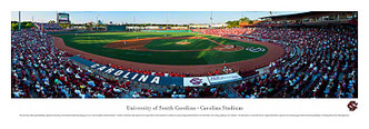 USC Gamecocks Baseball at Carolina Stadium Panorama Poster