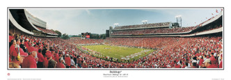 "Bulldogs" Georgia Bulldogs Panoramic Poster