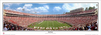 "End Zone" Georgia Bulldogs Panoramic Poster