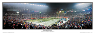 "Homeland Defense" New England Patriots Panoramic Poster