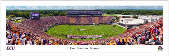 East Carolina Pirates at Dowdy-Ficklen Stadium Panoramic Poster