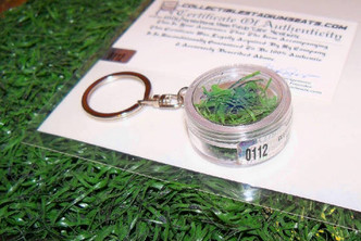 Metrodome Game Used Turf Keyring