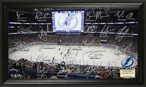 Toronto Maple Leafs Signature Rink