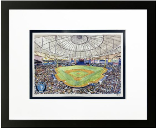 Tropicana Field - Tampa Bay Rays  Art Print
