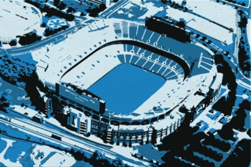 Bank of America Stadium - Carolina Panthers Aerial Canvas Print