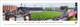 Mississippi State Bulldogs Baseball at Dement Stadium Panorama