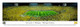 Michigan Wolverines at Michigan Stadium Panorama Poster 1