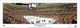 "2013 Stanley Cup Champions" Chicago Blackhawks Panoramic Poster 1