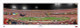 "49ers" San Francisco 49ers Panoramic Poster
