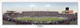 "AFC Champions" Patriots at Foxboro Stadium Panoramic Poster