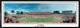 "The Wolfpack" Carter Finley Stadium Panoramic Poster