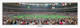 "48 Yard Line" Houston Oilers Panoramic Poster