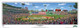 "100th Opening Day" Fenway Park Panoramic Framed Poster