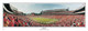 "Bulldogs" Georgia Bulldogs Panoramic Poster