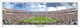 "View from the Hill" Virginia Cavaliers Panoramic Poster