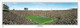 "The Big House" Michigan Wolverines Panoramic Poster
