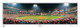 "Believe" St. Louis Cardinals Panoramic Framed Poster