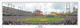 "First Pitch" Detroit Tigers at Comerica Park Panoramic Framed Poster