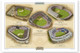 New York Yankees Ballparks Print