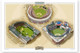 New York Mets Ballparks Print