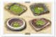 St. Louis Cardinals Ballparks Print