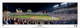 Chicago Cubs "2015 NLCS" Wrigley Field Panoramic Framed Poster