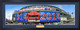 Chicago Cubs "Celebrating 100 Years" Wrigley Field Panoramic Poster