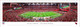 Arizona Cardinals at State Farm Stadium Panoramic Poster