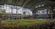 Houston Astros at Minute Maid Park Print
